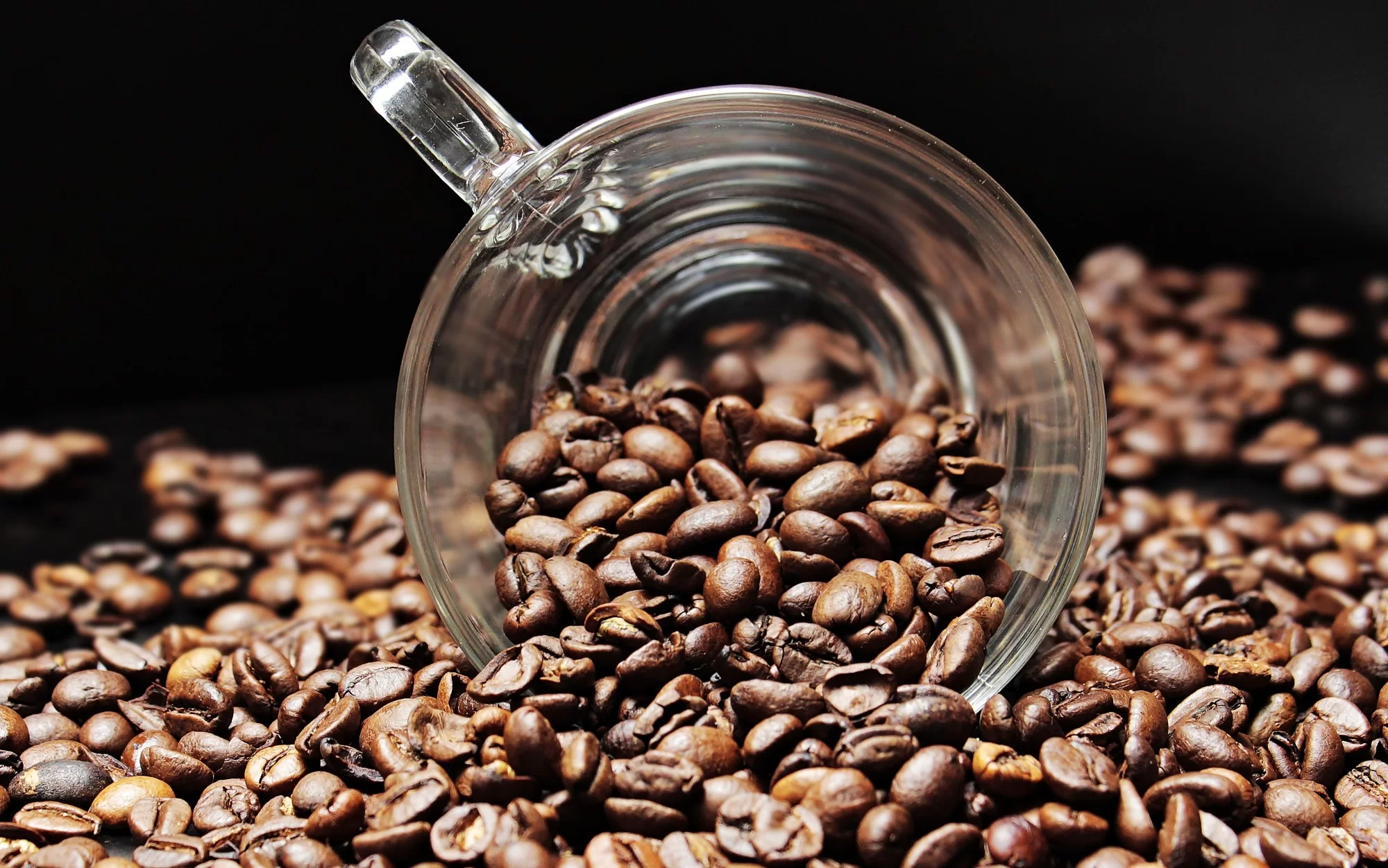 Kenyan Coffee Exports Surge in January: Insights, Trends, and Government Reforms