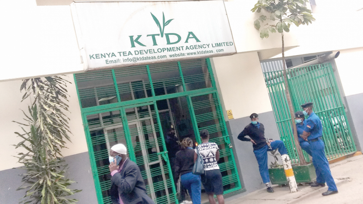 Kenya Tea Industry Turmoil: KTDA's Auction Backlash and Cartel Concerns