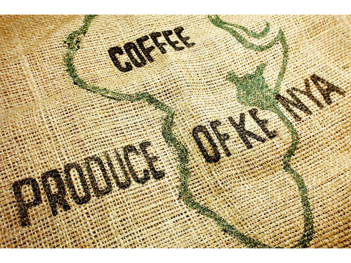 Kenya's Coffee Industry Surges  propelling earnings to US$10m weekly